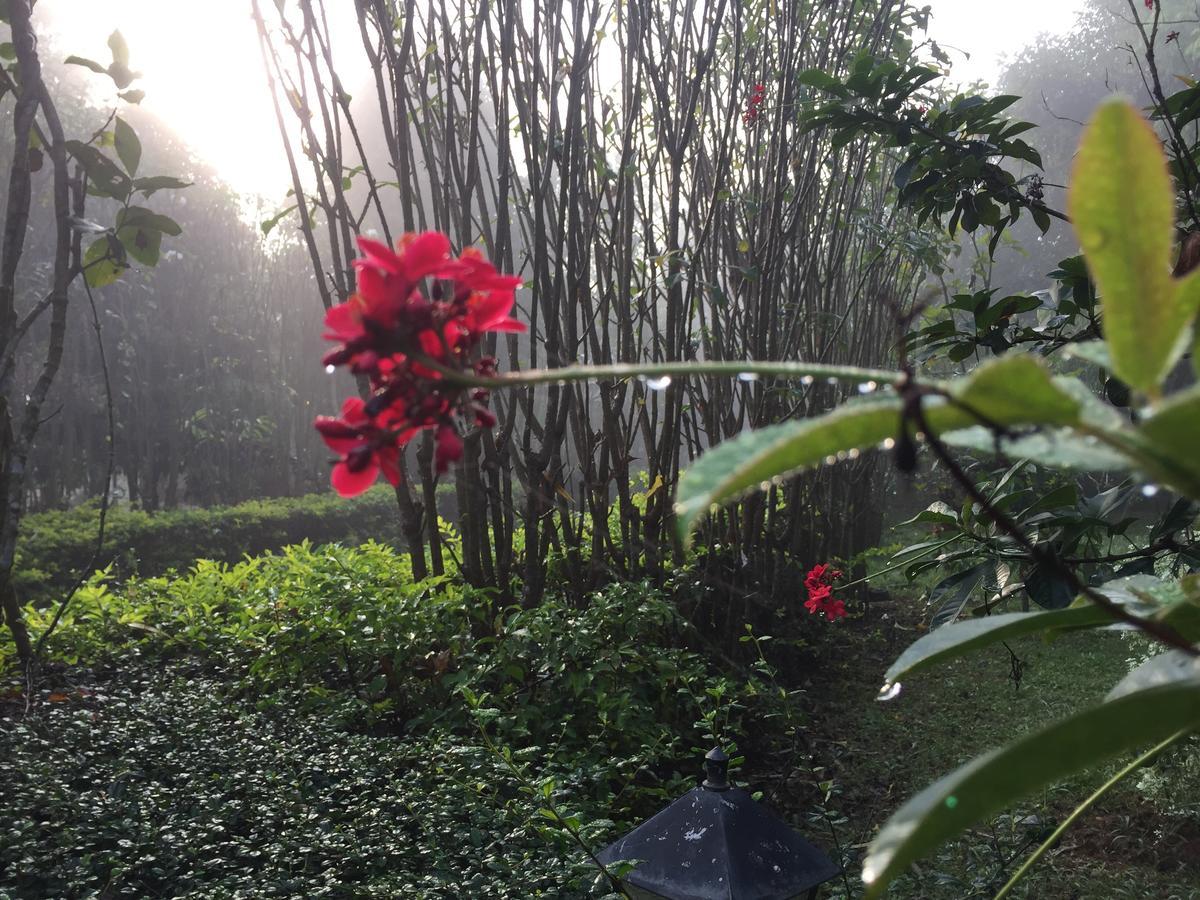 Resort Khaoyai Nature Retreat Baan Wang Mi