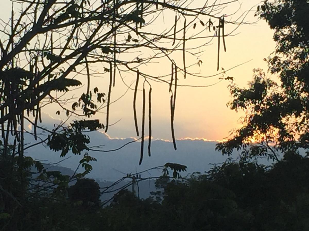 Khaoyai Nature Retreat Resort Baan Wang Mi