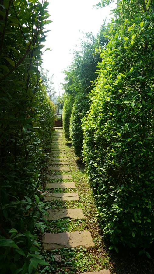 Hotel Garden Corner & 3*