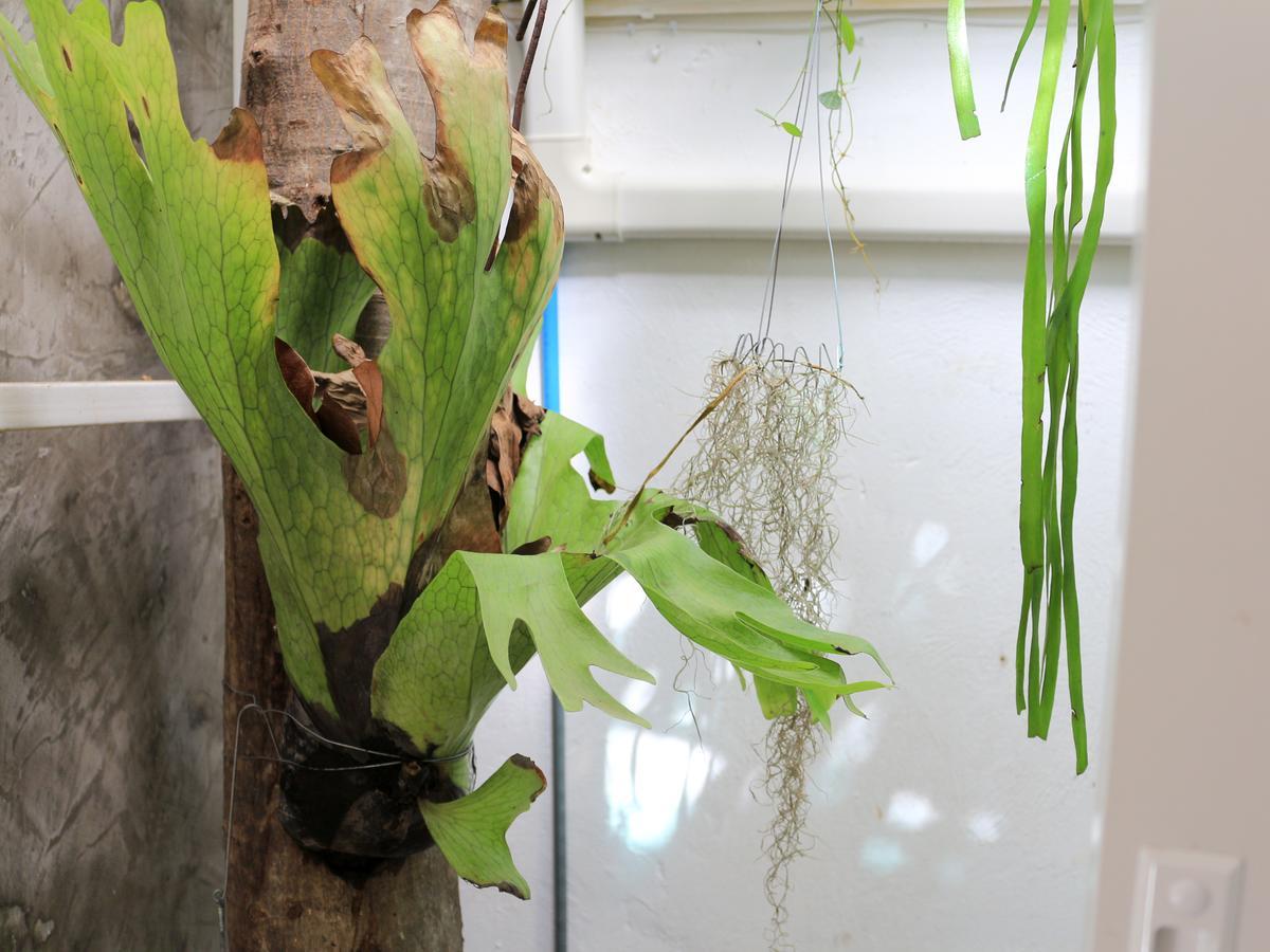 Changmoi House Bed & Breakfast Chiang Mai