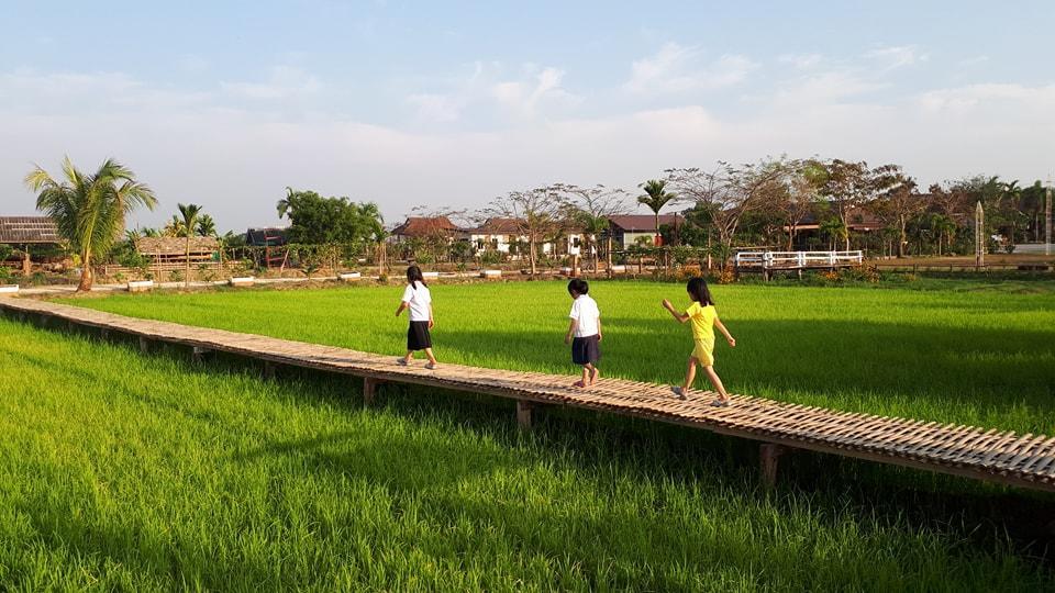 Sanikul Resort Mae Chan