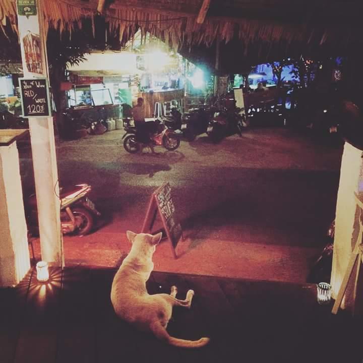 Guest house Margaritaville Lonely Beach 2*