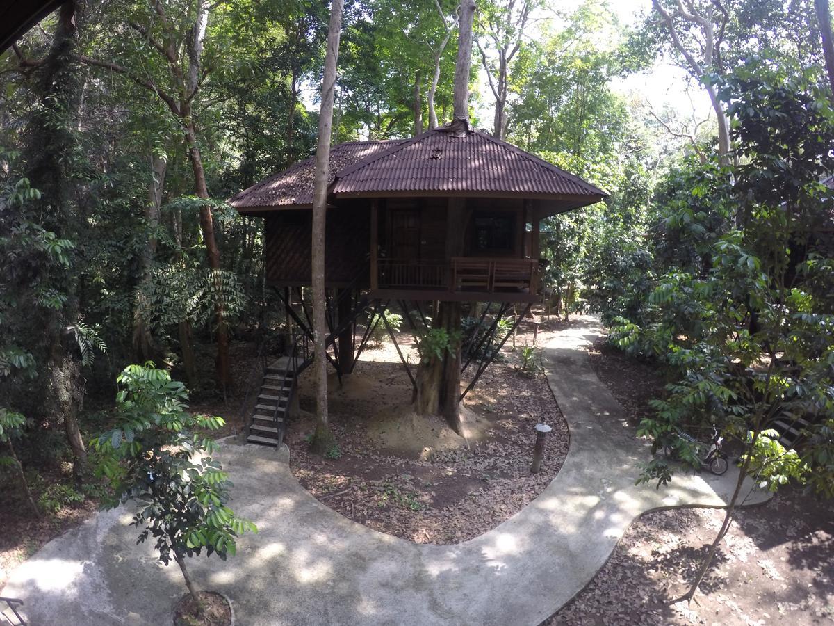 Khao Sok Nature