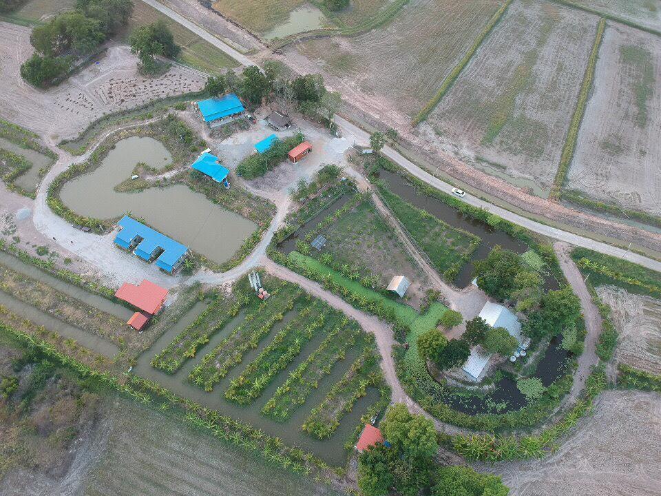 Bn Resort