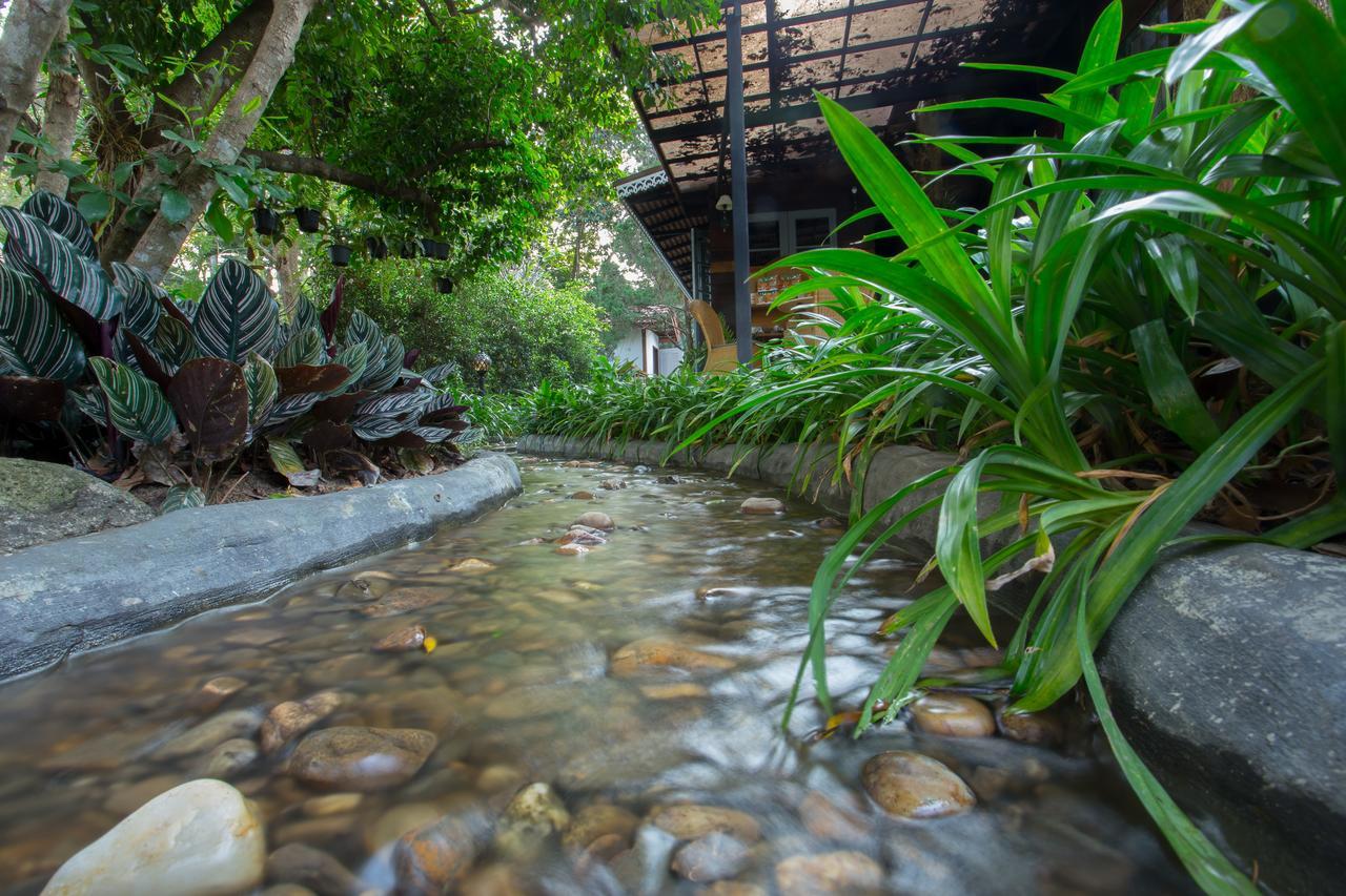 Resort Kreelynn Changkien
