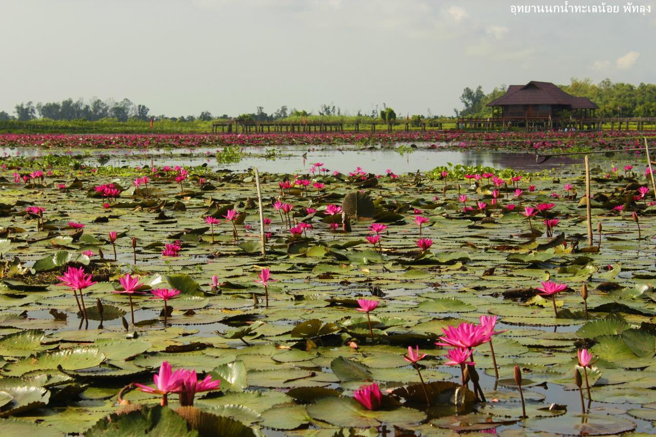 Resort Banpak Suankaew Talaynoi Phatthalung