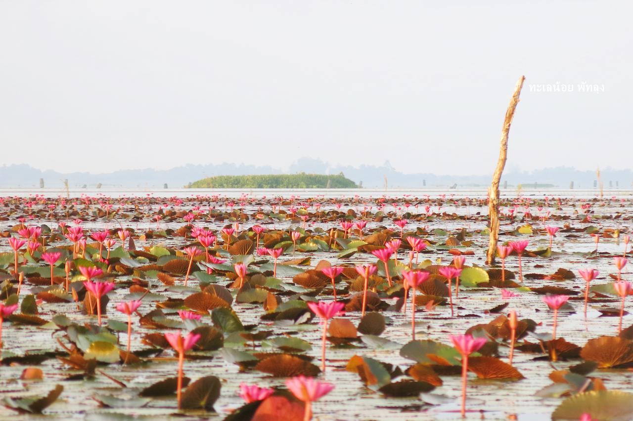 Resort Banpak Suankaew Talaynoi Phatthalung