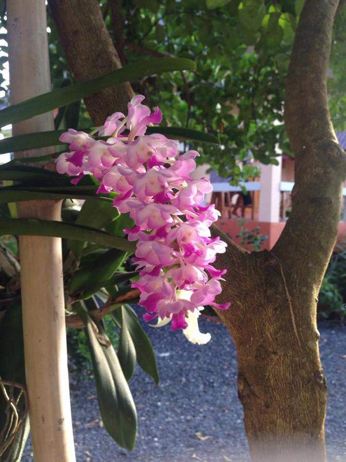Resort Chuanchom