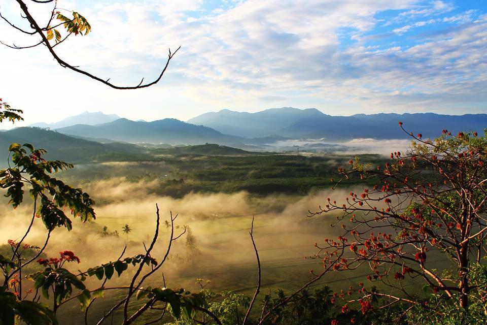 Chomdao Baan Manisa Kiriwong