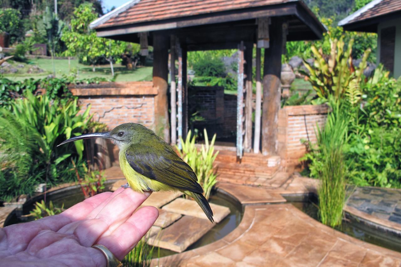 Kanlaya's Eyrie, Luxury Homestay Pang Mapha