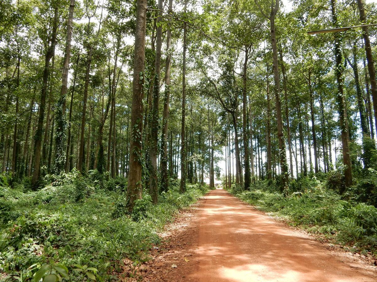 Resort Malee Ban Tha Sao Kradong