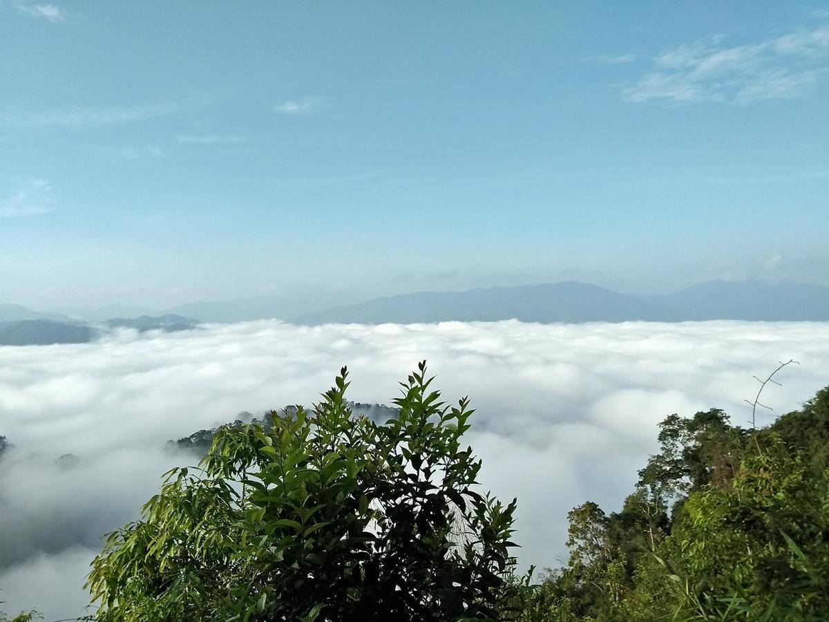 Kum Nangpaya Kaeng Krachan