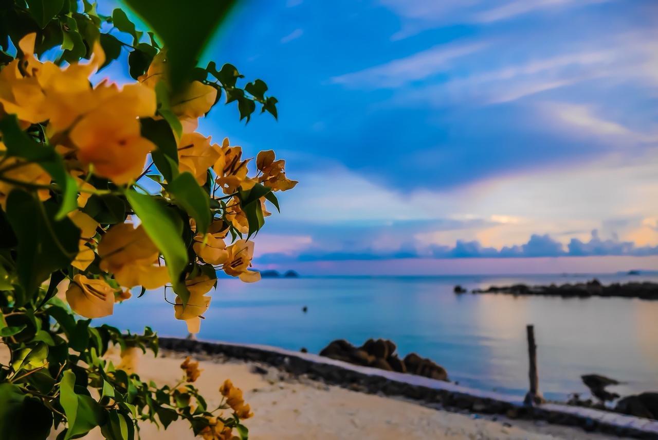 Resort Zama Koh Phangan Haad Chao Phao