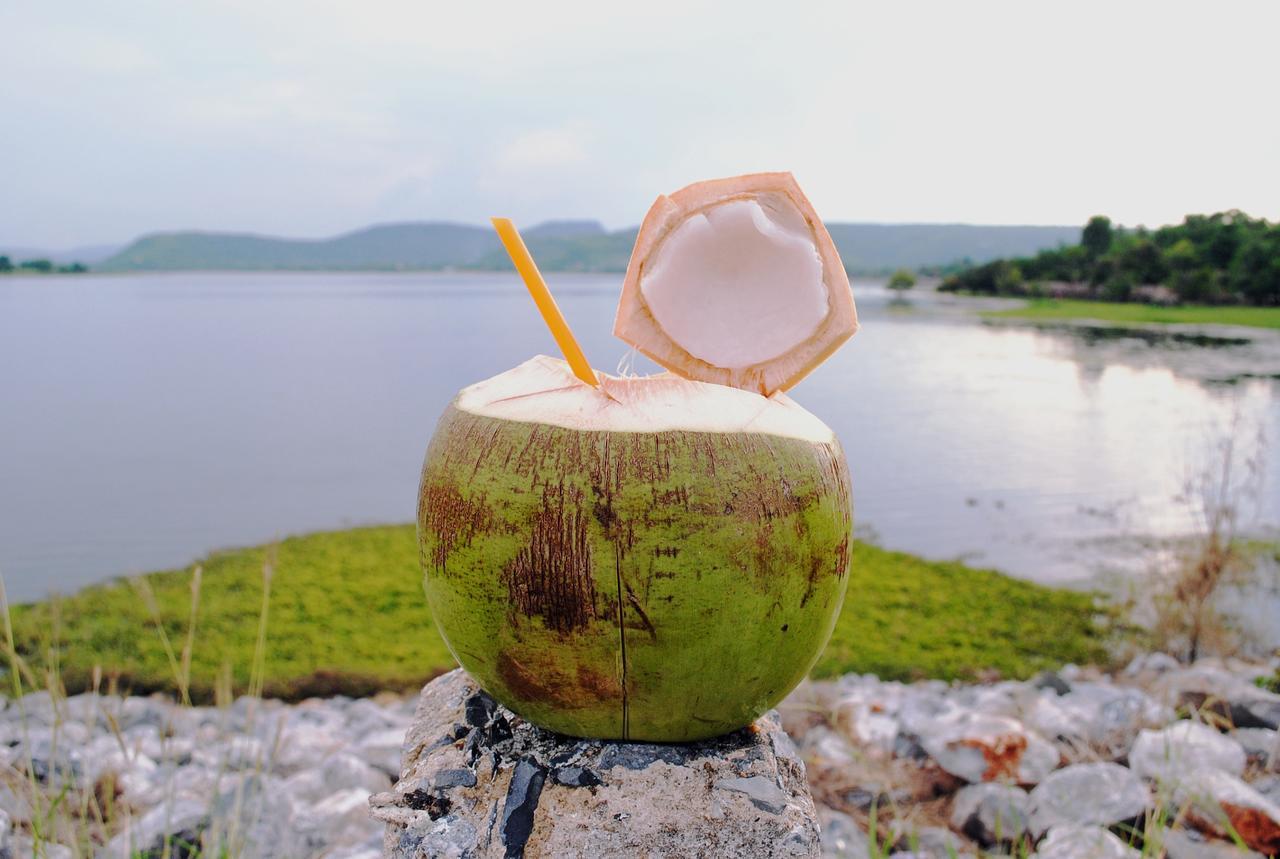 Palmchwa Sikhio