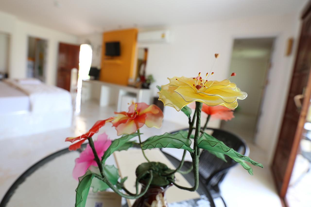 The Orchid & Relax