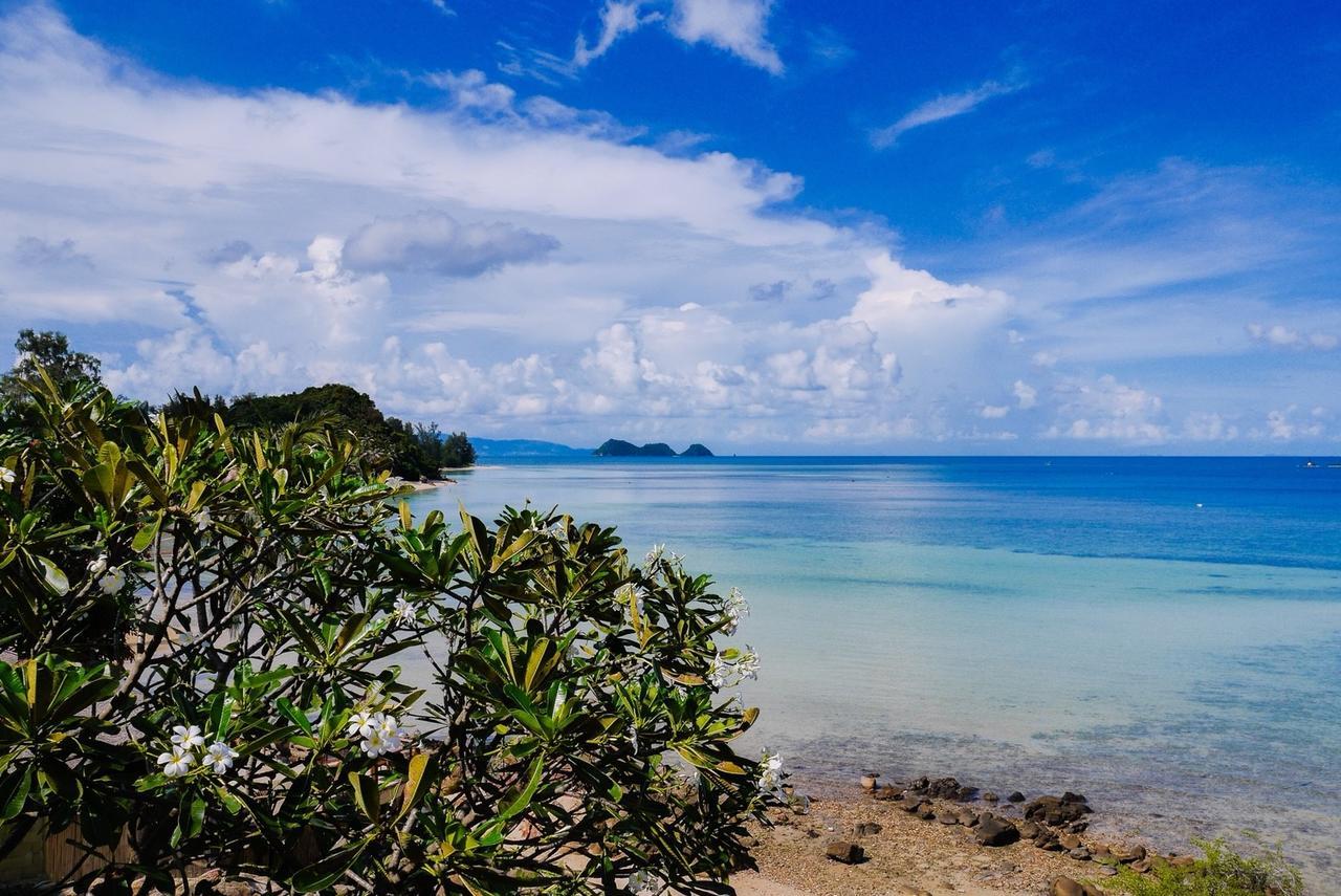 Zama Koh Phangan Haad Chao Phao