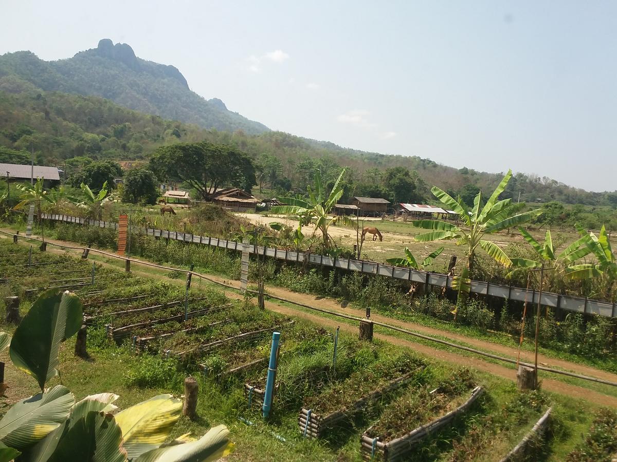 Him Doy Muang Pan ฮิมดอยเมืองปานรีสอร์ท Resort Ban Sop Pan