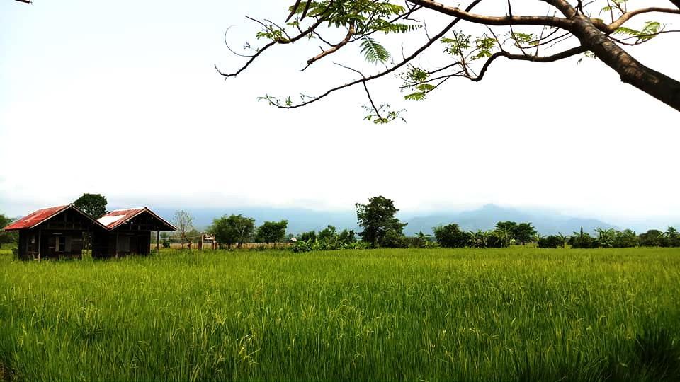 Resort Sanikul 3*