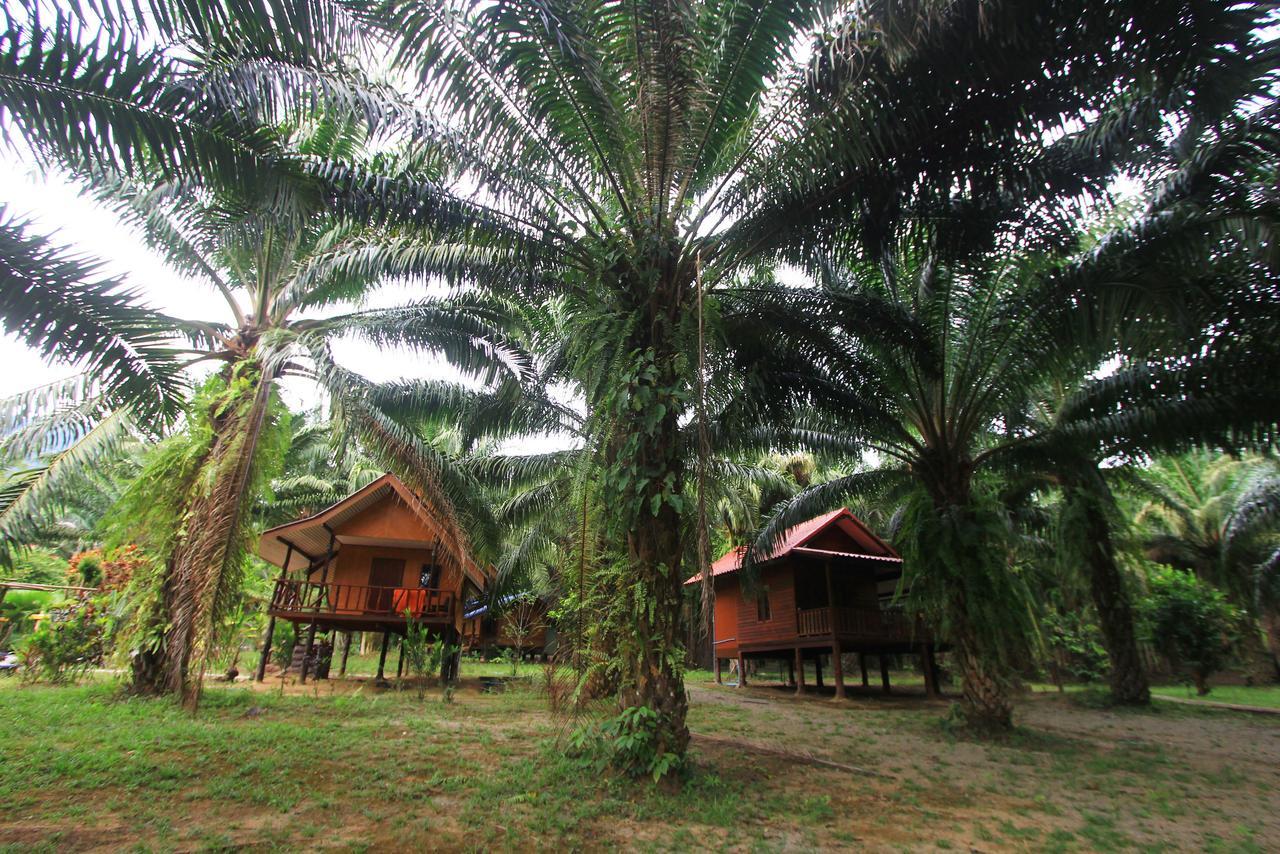 Resort Khao Sok Palmview