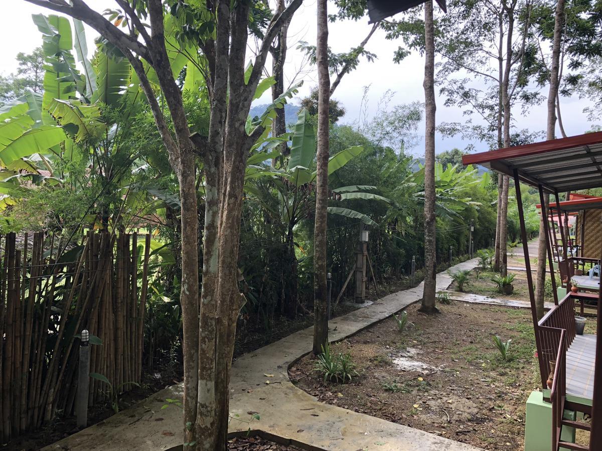 Khaosok Bamboo Huts *
