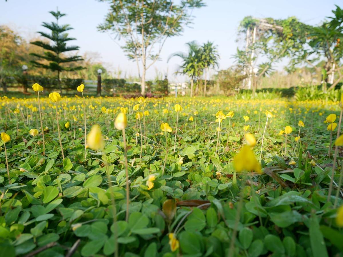 บ้านเอื้อมดาว เขาค้อ Resort
