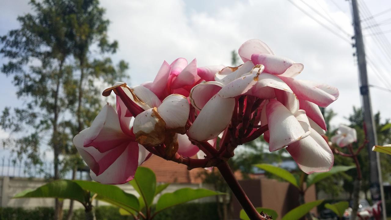 Koott Villa Kathu