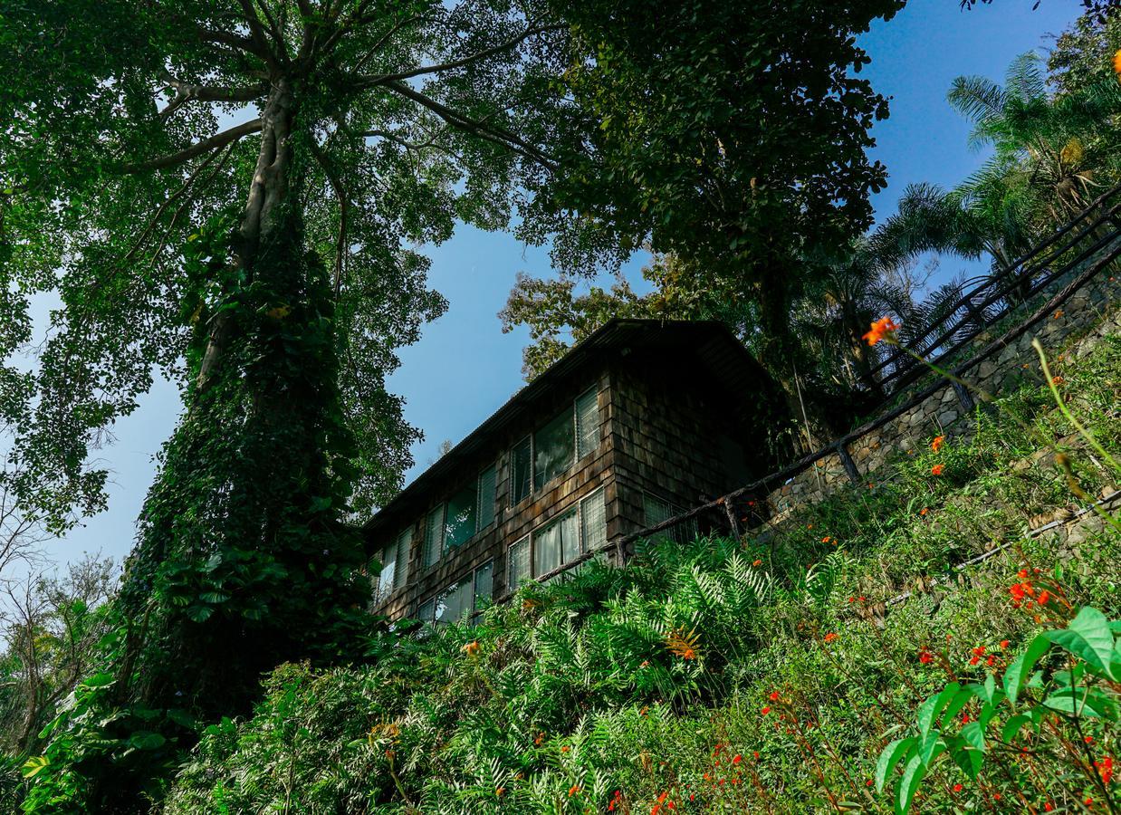 Phutarntree Chiang Mai