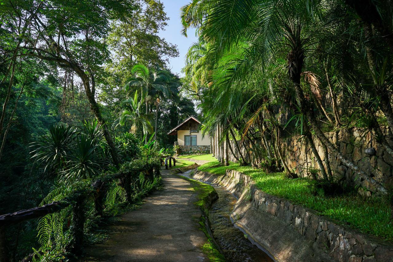 Phutarntree 3* Chiang Mai