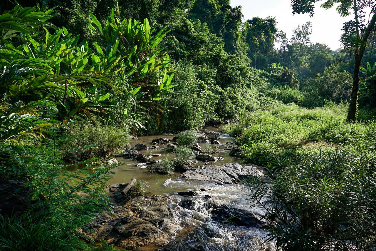 Phutarntree