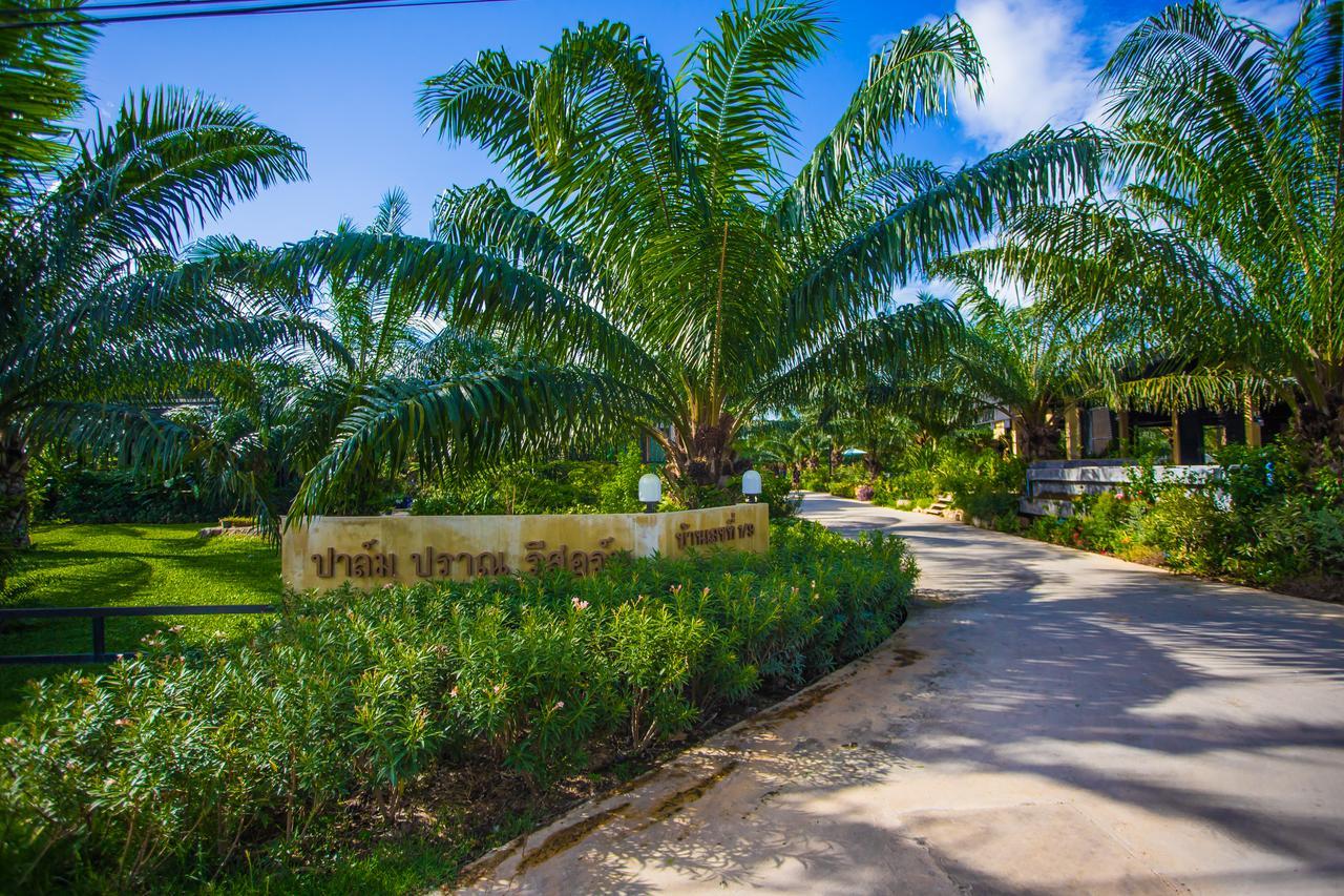Resort Palm Pran