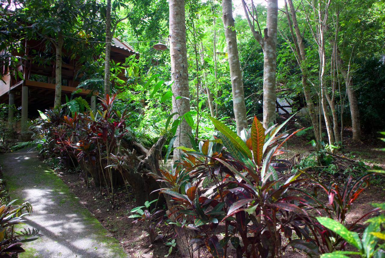 Maewin And Resort 3*