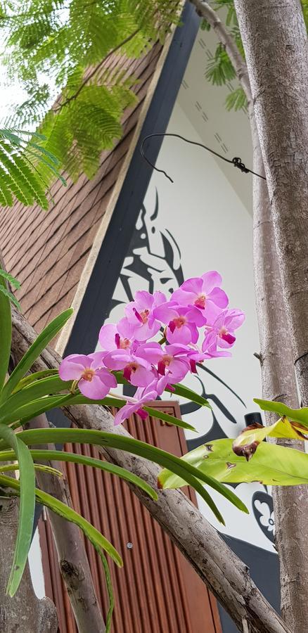 The Mug 3* Chonburi