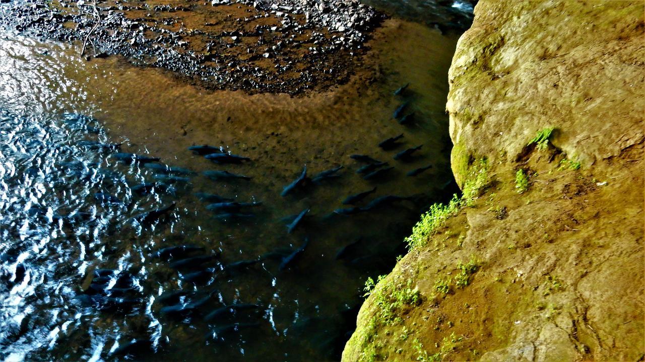 Riverside