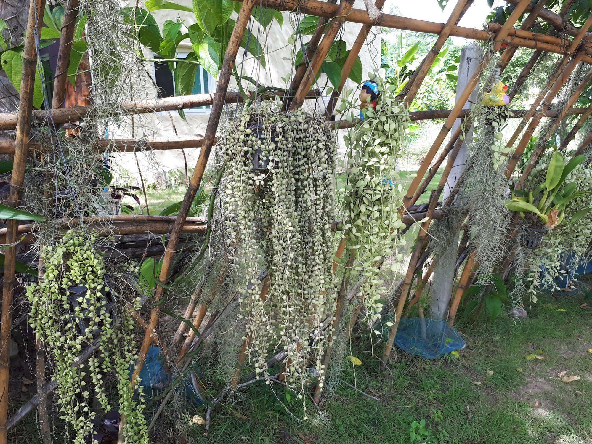 Baansongkhata Suan Phueng