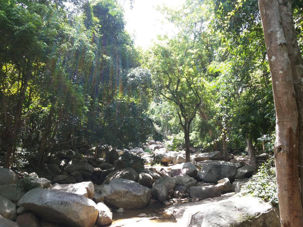Astrococo By Coconut 3* Lamai Beach (Koh Samui)