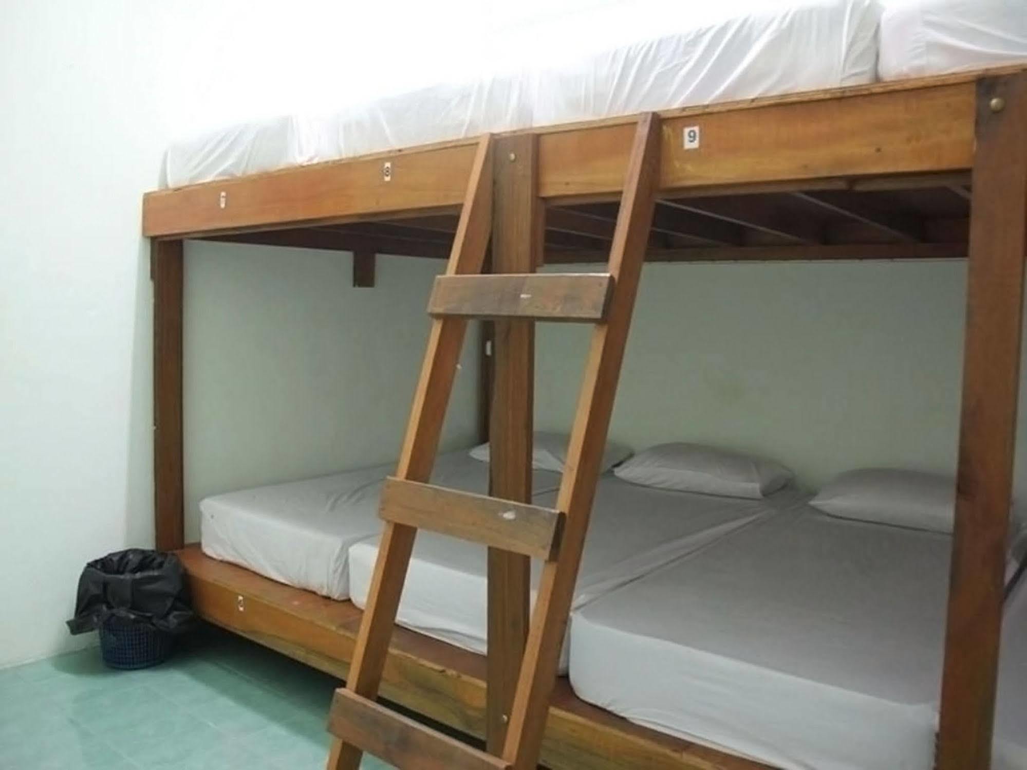 Hostel Wild & Wandering Backpacker Hostel & Bar