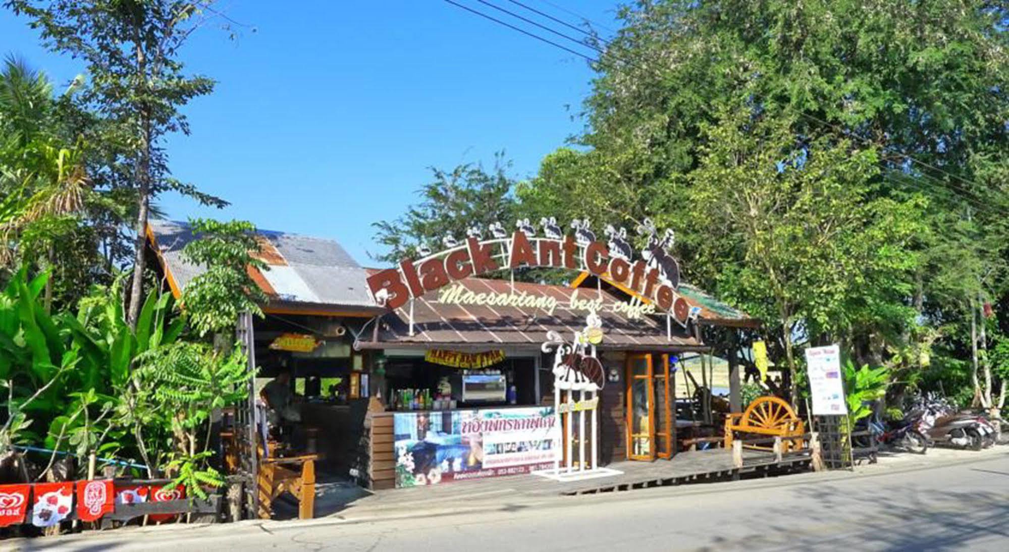 P&p Coffee & Maesariang 3*