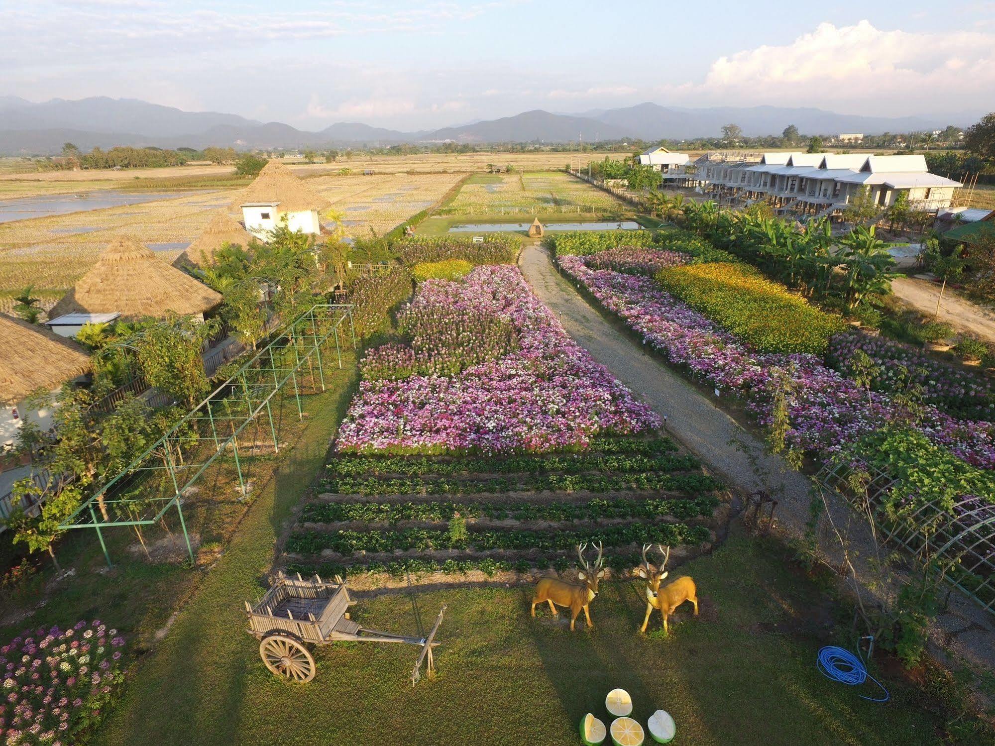 Resort Phusanfah