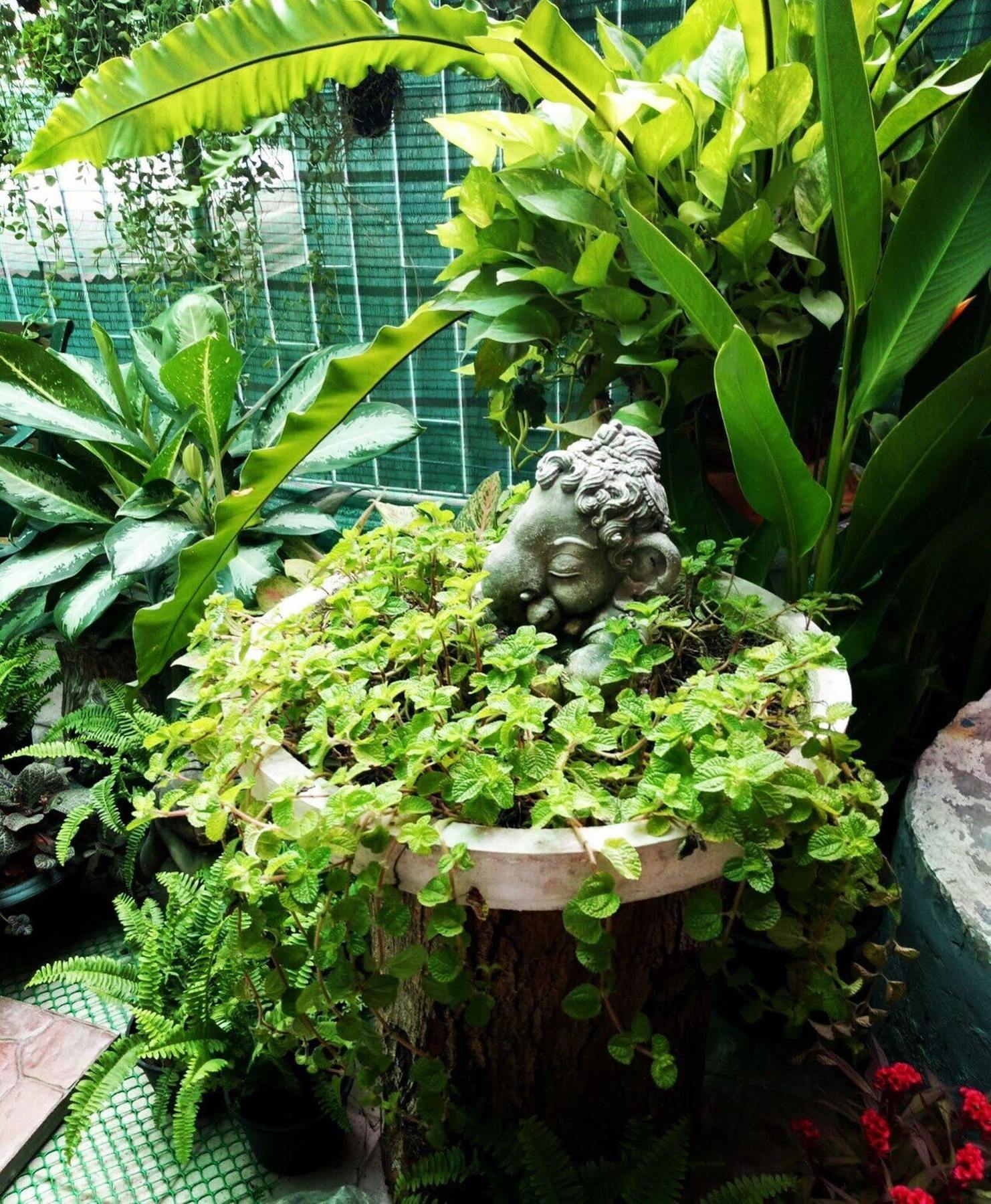Ks House Hotel Bangkok