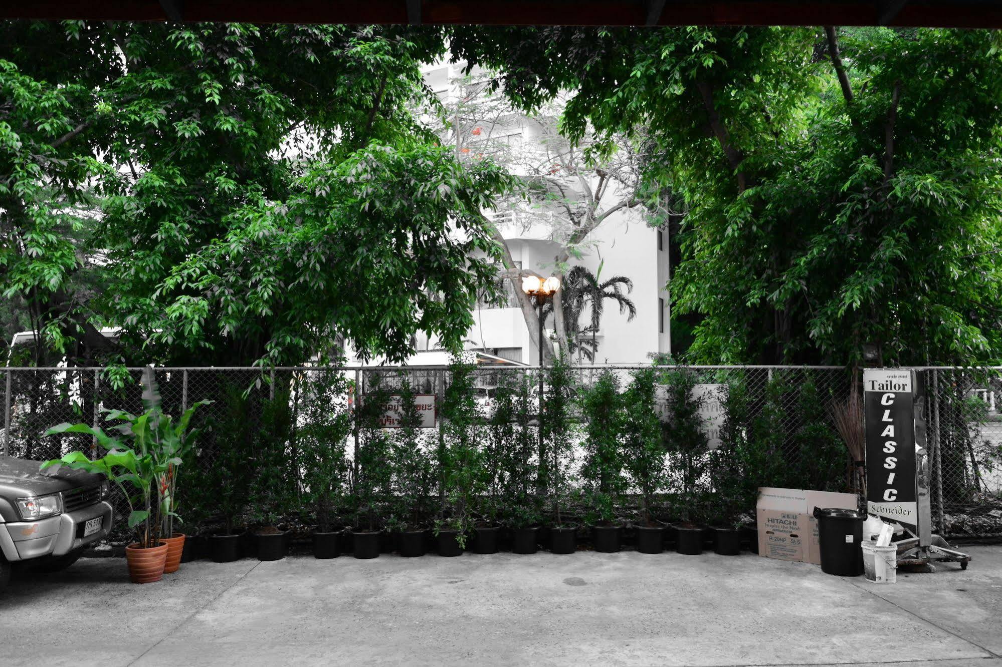 Seedling House 2*