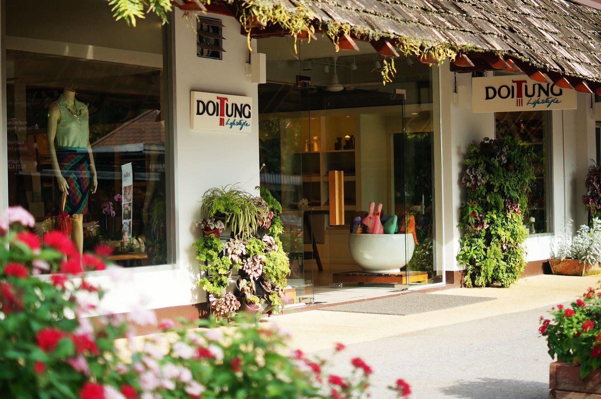 Doitung Ban Rai (Chiang Rai)