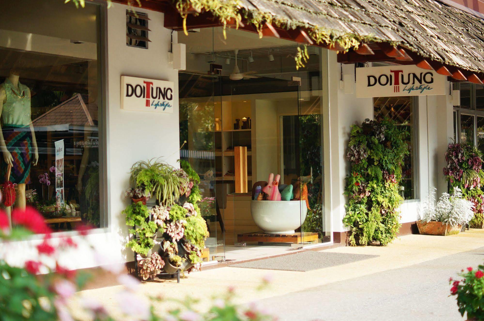Doitung 4*