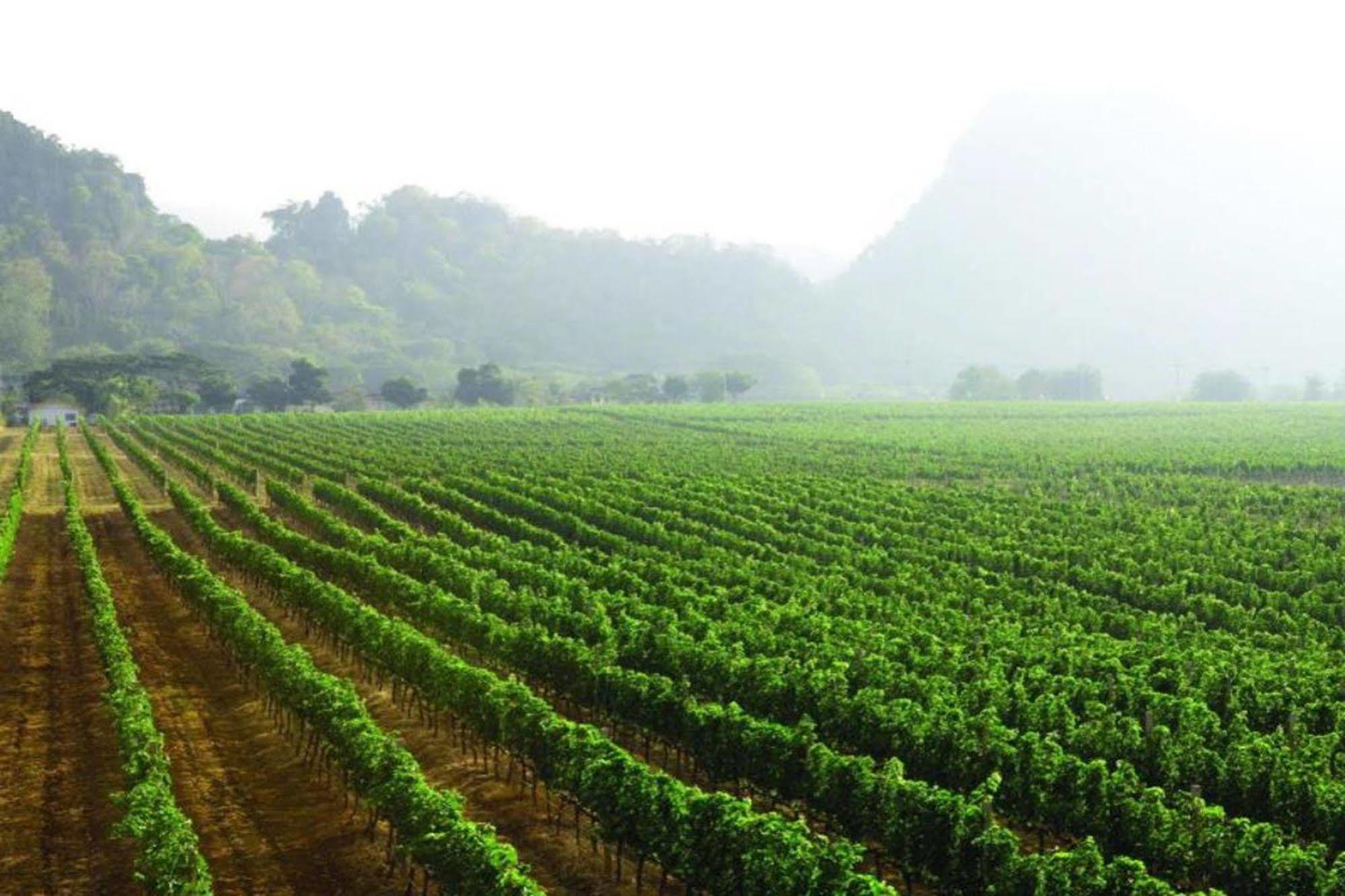 Hotel Granmonte Wine