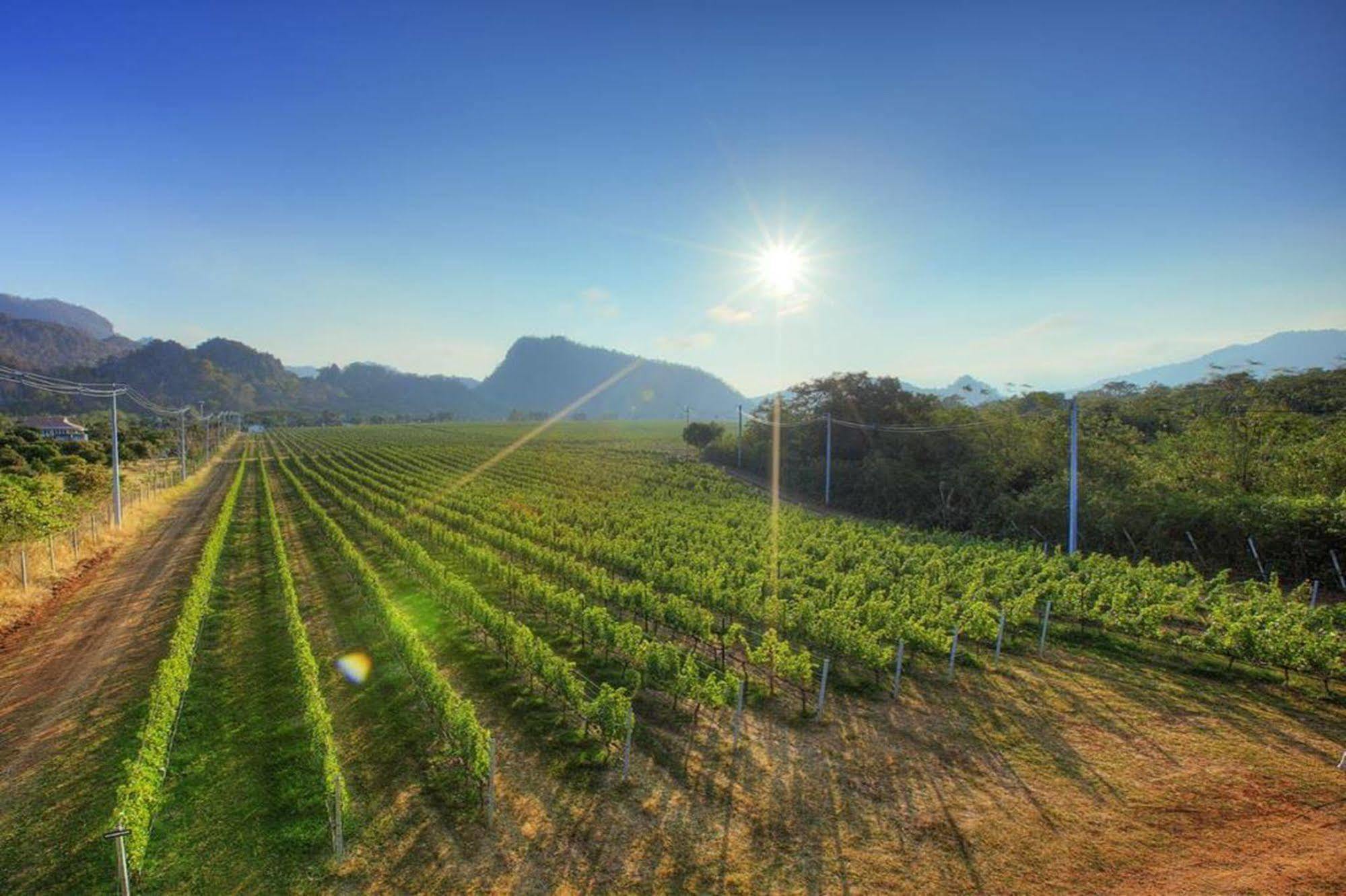 Granmonte Wine Hotel Phayayen
