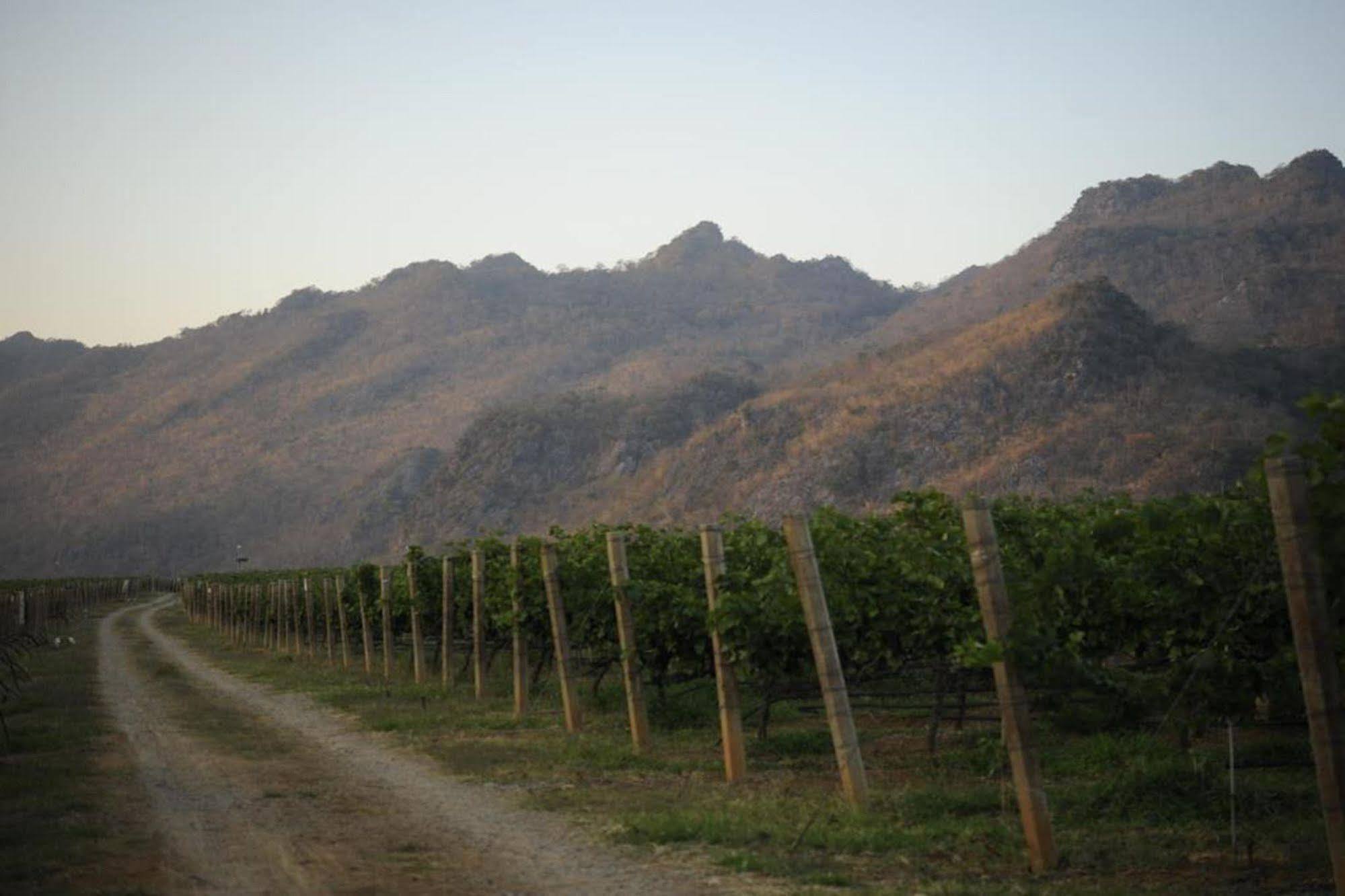 Granmonte Wine Phayayen