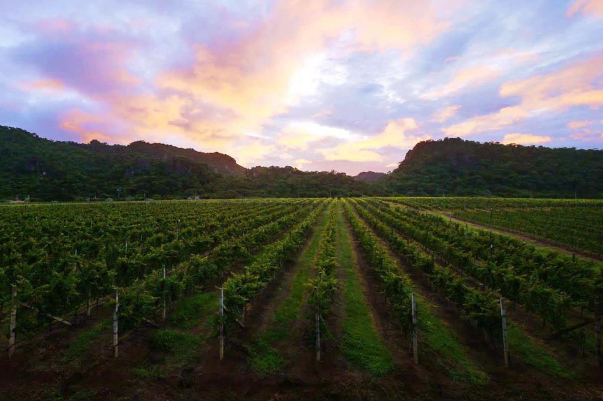 Granmonte Wine 4* Phayayen