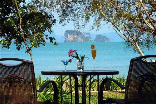 Resort Niramaya & Wellness 4*