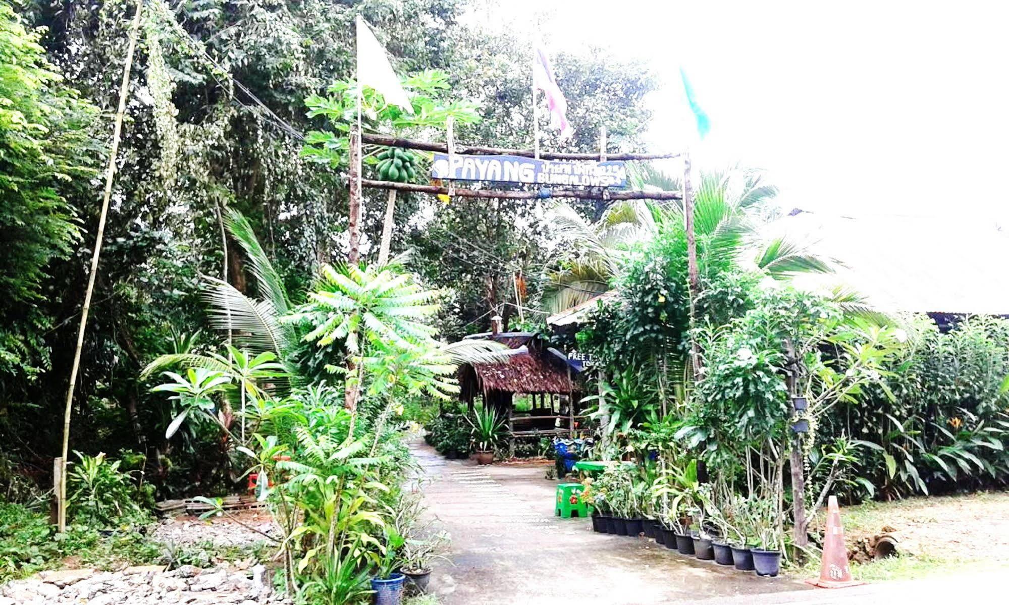 Payang