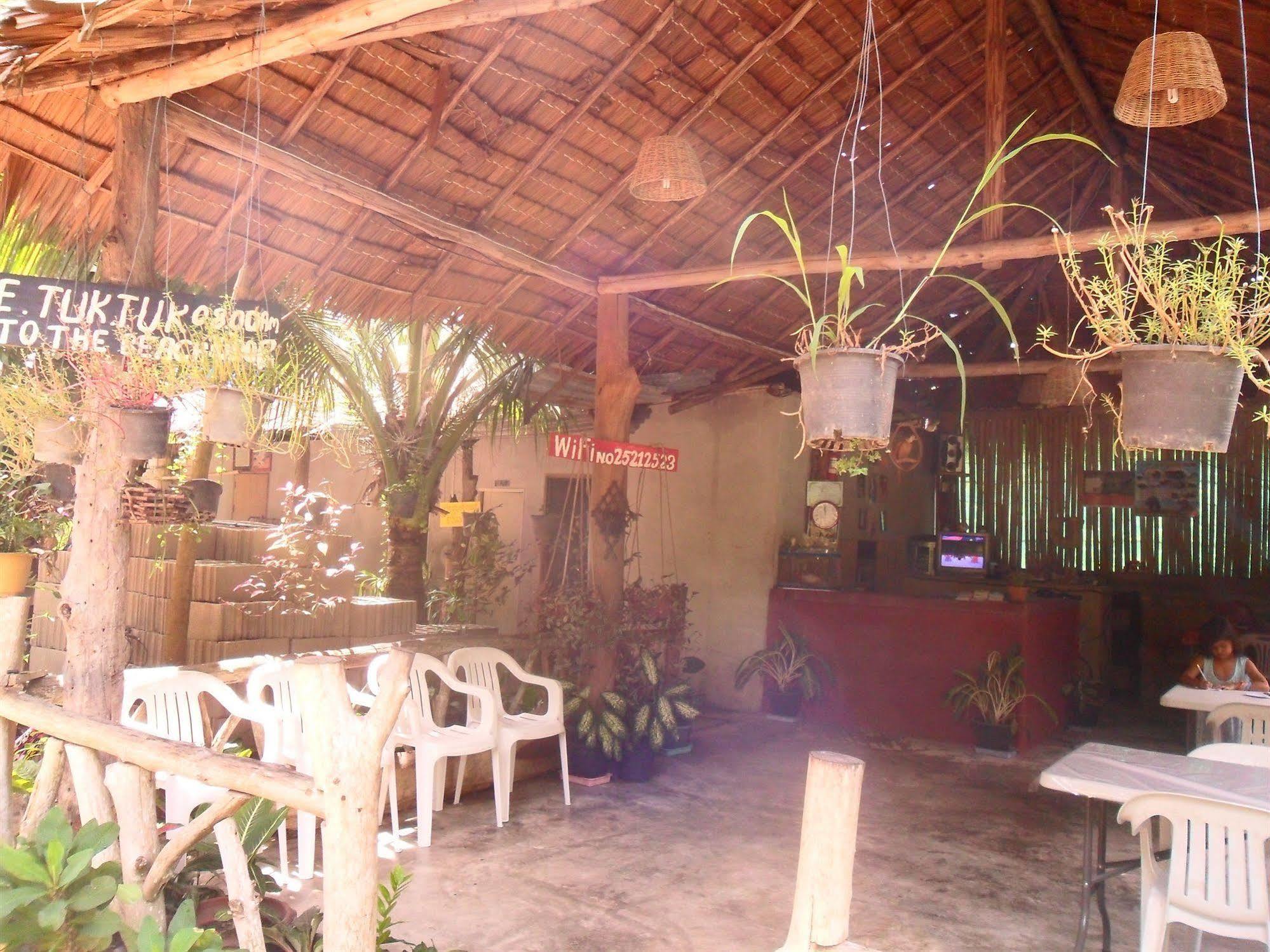 Guest house Payang *