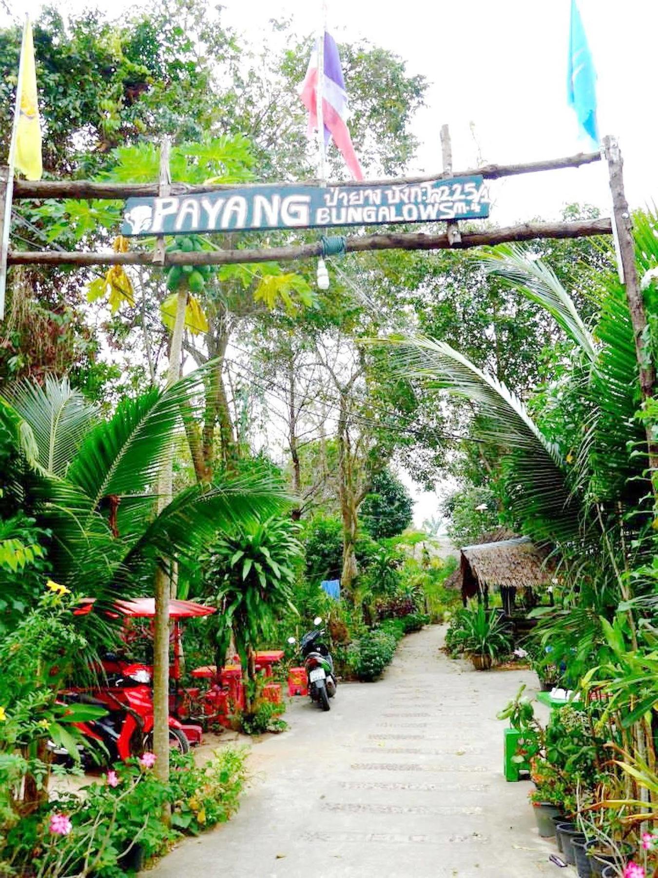 Payang Guest house
